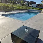 Domaine Wagenbourg Bickel Proche De Colmar