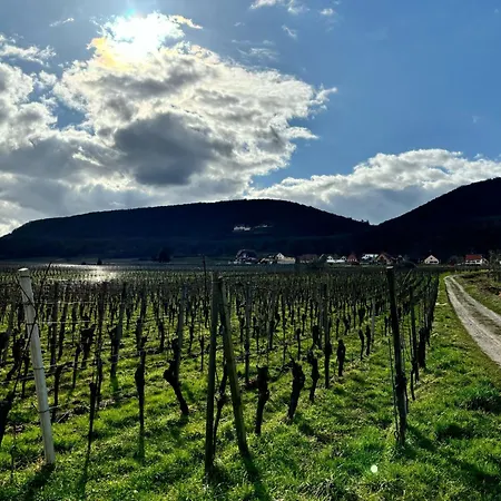 Domaine Wagenbourg A *