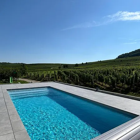 Domaine Wagenbourg Bickel Proche De Colmar Apartment