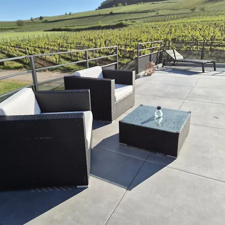 Domaine Wagenbourg Bickel Proche De Colmar Soultzmatt