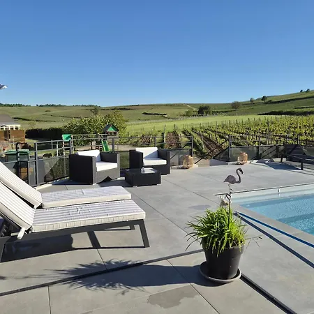 Daire Domaine Wagenbourg Bickel Proche De Colmar *