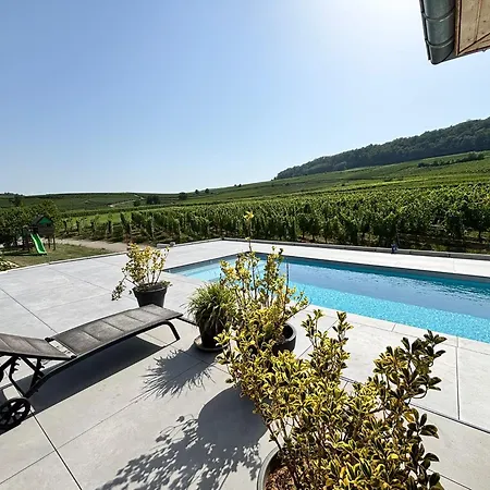 Daire Domaine Wagenbourg Bickel Proche De Colmar *