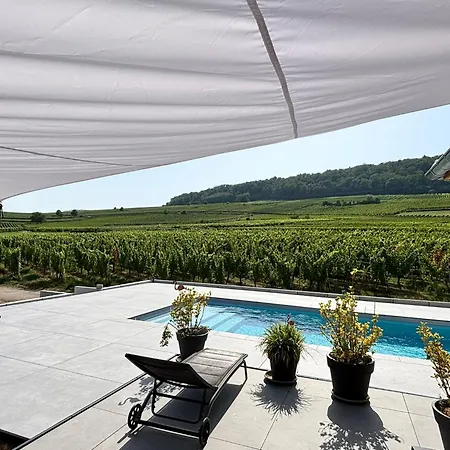 Daire Domaine Wagenbourg Bickel Proche De Colmar Soultzmatt