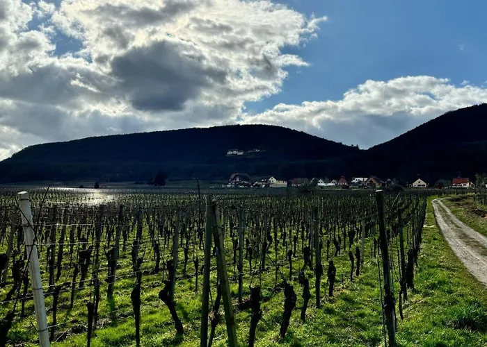 Domaine Wagenbourg A *